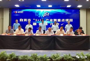 總投資額531.39億元 自貢推介 5 1 產業(yè)重點項目100個